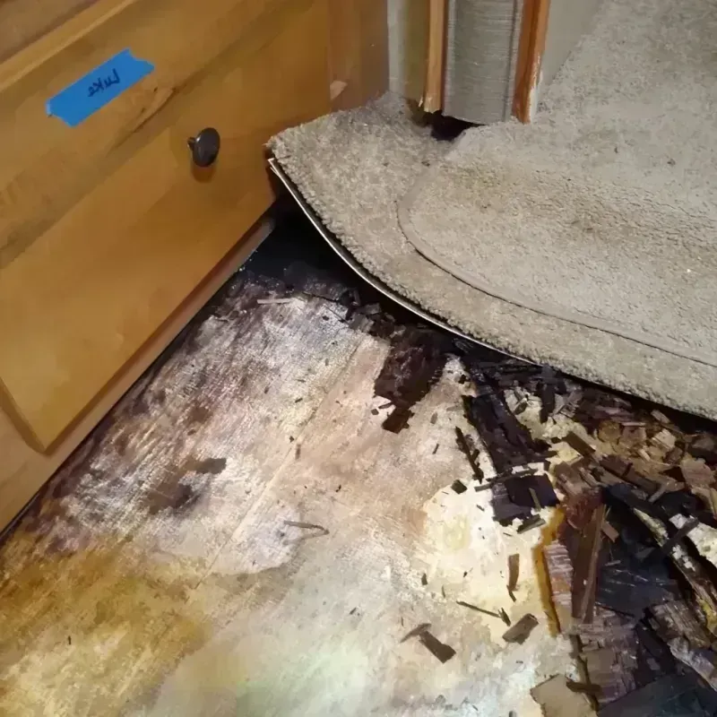 Best Wood Floor Water Damage Service in Three Rivers, MI